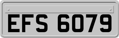 EFS6079