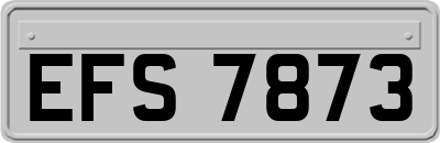 EFS7873