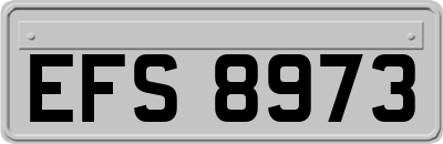 EFS8973