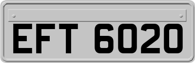 EFT6020