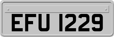 EFU1229