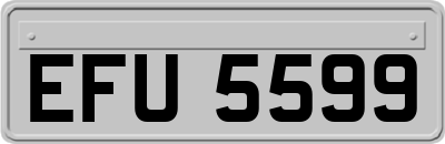 EFU5599