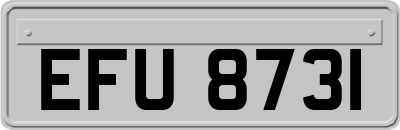 EFU8731