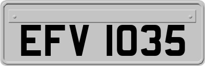 EFV1035