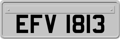 EFV1813