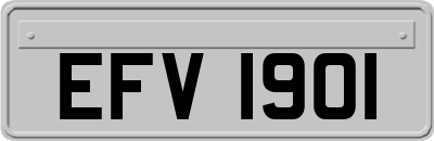 EFV1901