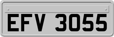 EFV3055