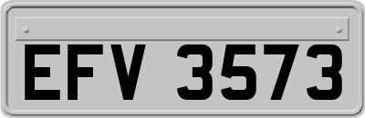 EFV3573