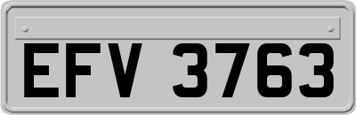 EFV3763