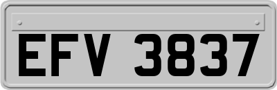 EFV3837