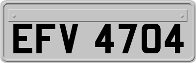 EFV4704