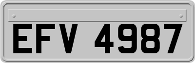 EFV4987