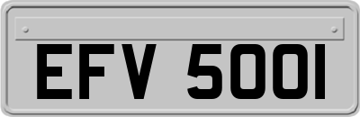 EFV5001