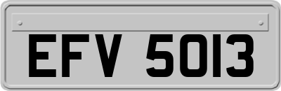EFV5013
