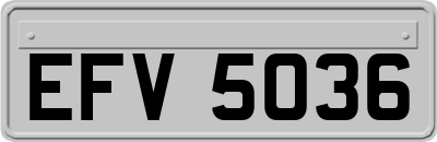 EFV5036