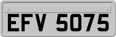 EFV5075