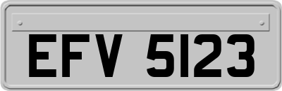 EFV5123
