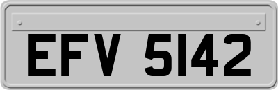 EFV5142