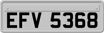 EFV5368