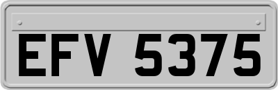 EFV5375