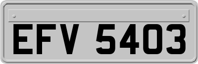 EFV5403