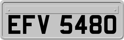 EFV5480