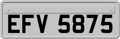 EFV5875