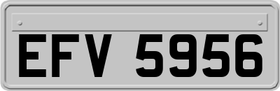 EFV5956