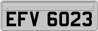 EFV6023