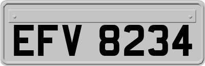 EFV8234