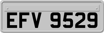 EFV9529