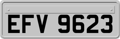 EFV9623