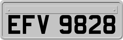 EFV9828