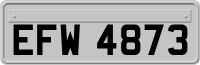 EFW4873