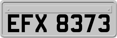 EFX8373