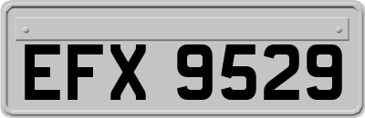 EFX9529
