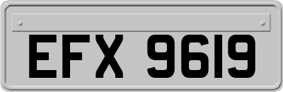 EFX9619