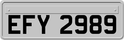 EFY2989