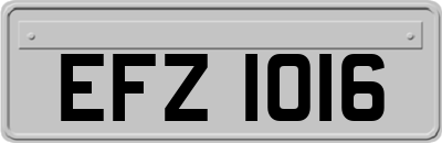 EFZ1016