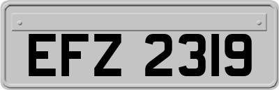 EFZ2319