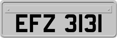 EFZ3131