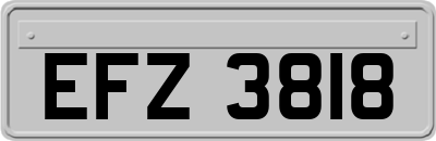 EFZ3818