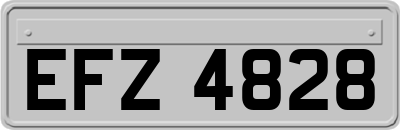 EFZ4828