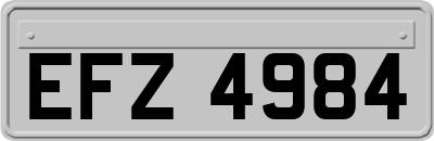 EFZ4984