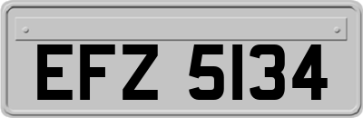 EFZ5134