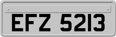 EFZ5213