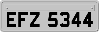 EFZ5344