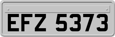 EFZ5373