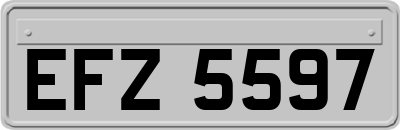 EFZ5597