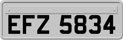 EFZ5834